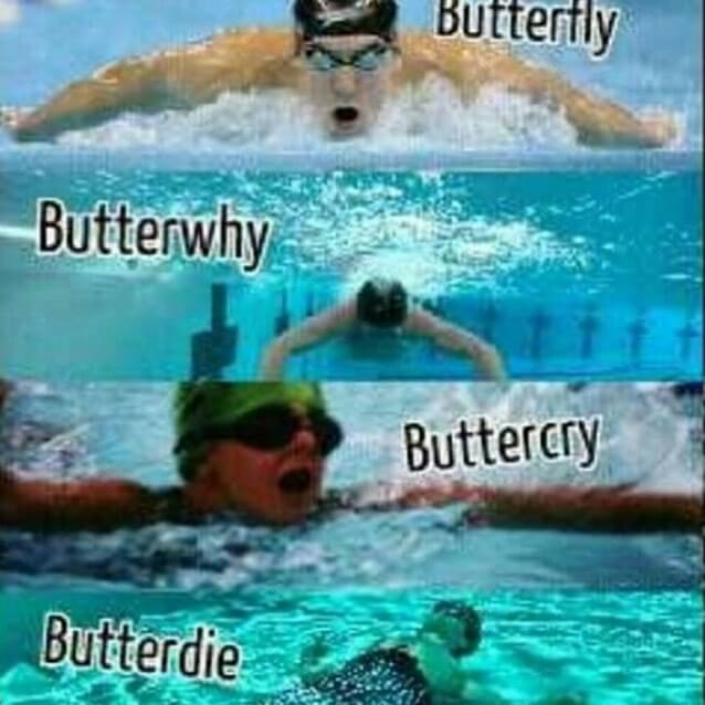 Just Keep Swimming! A Collection Of Swimming Memes