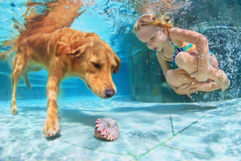 kid and dog in pool
